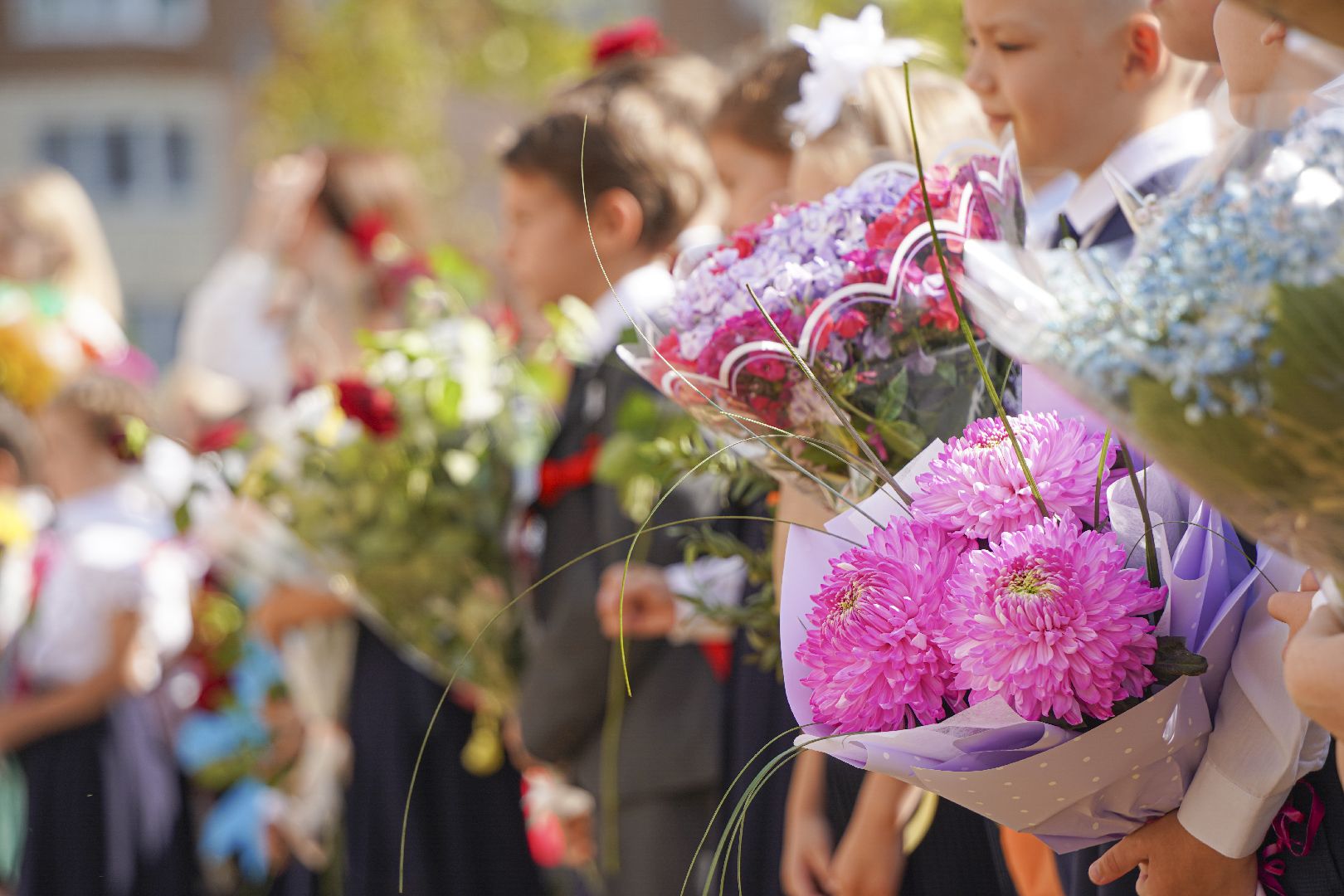 новая школа, Домодедово