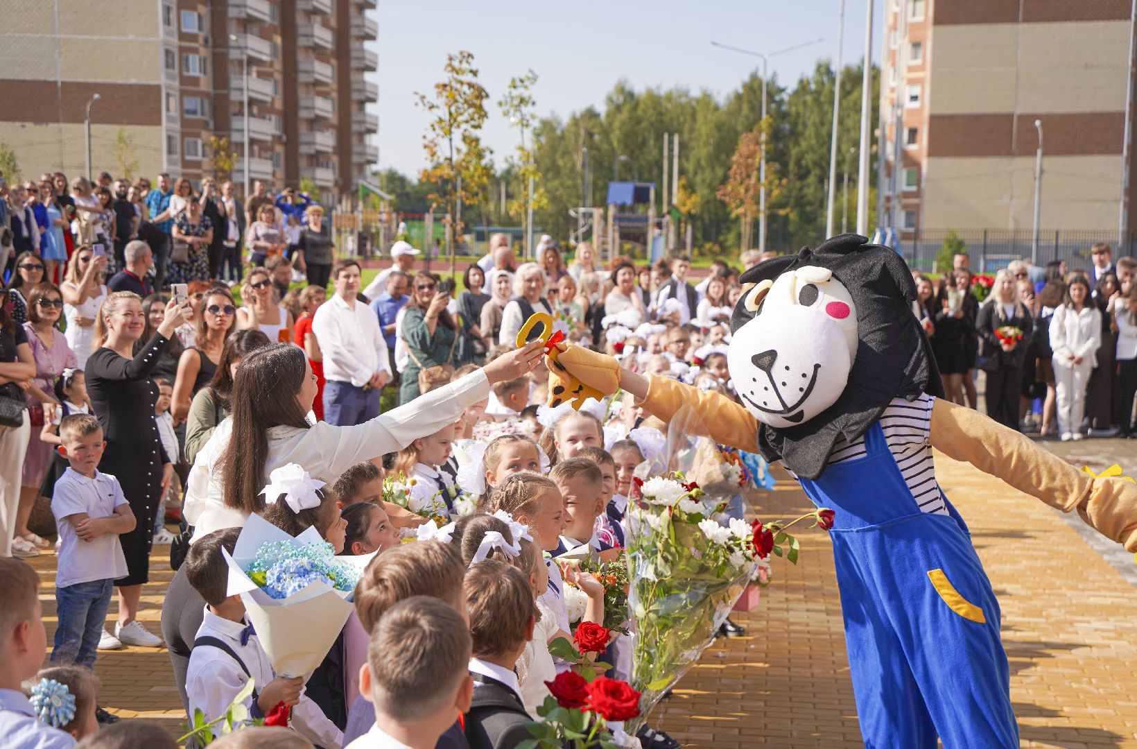 новая школа, Домодедово