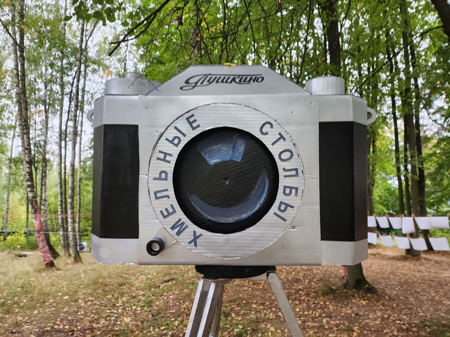 пушкино, фотовыставка, конкурс, награды,