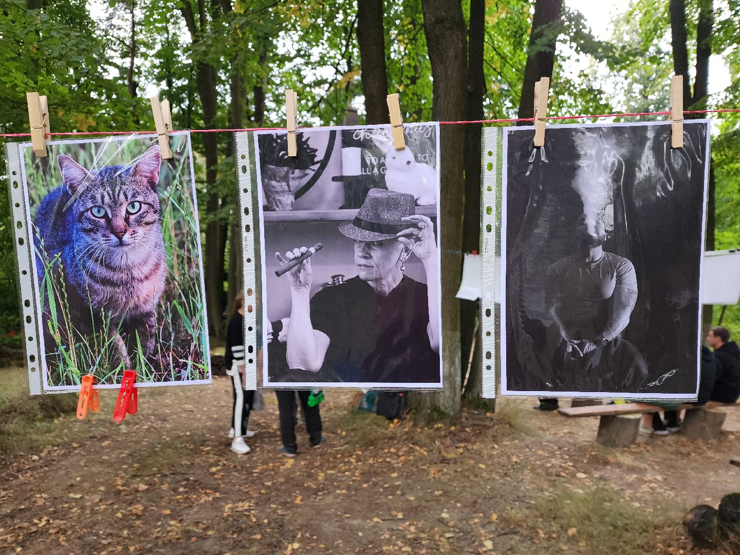 пушкино, фотовыставка, конкурс, награды,