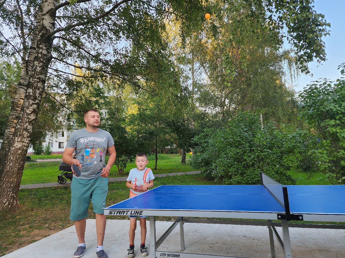 видное; теннис; депутаты; спорт; дворы