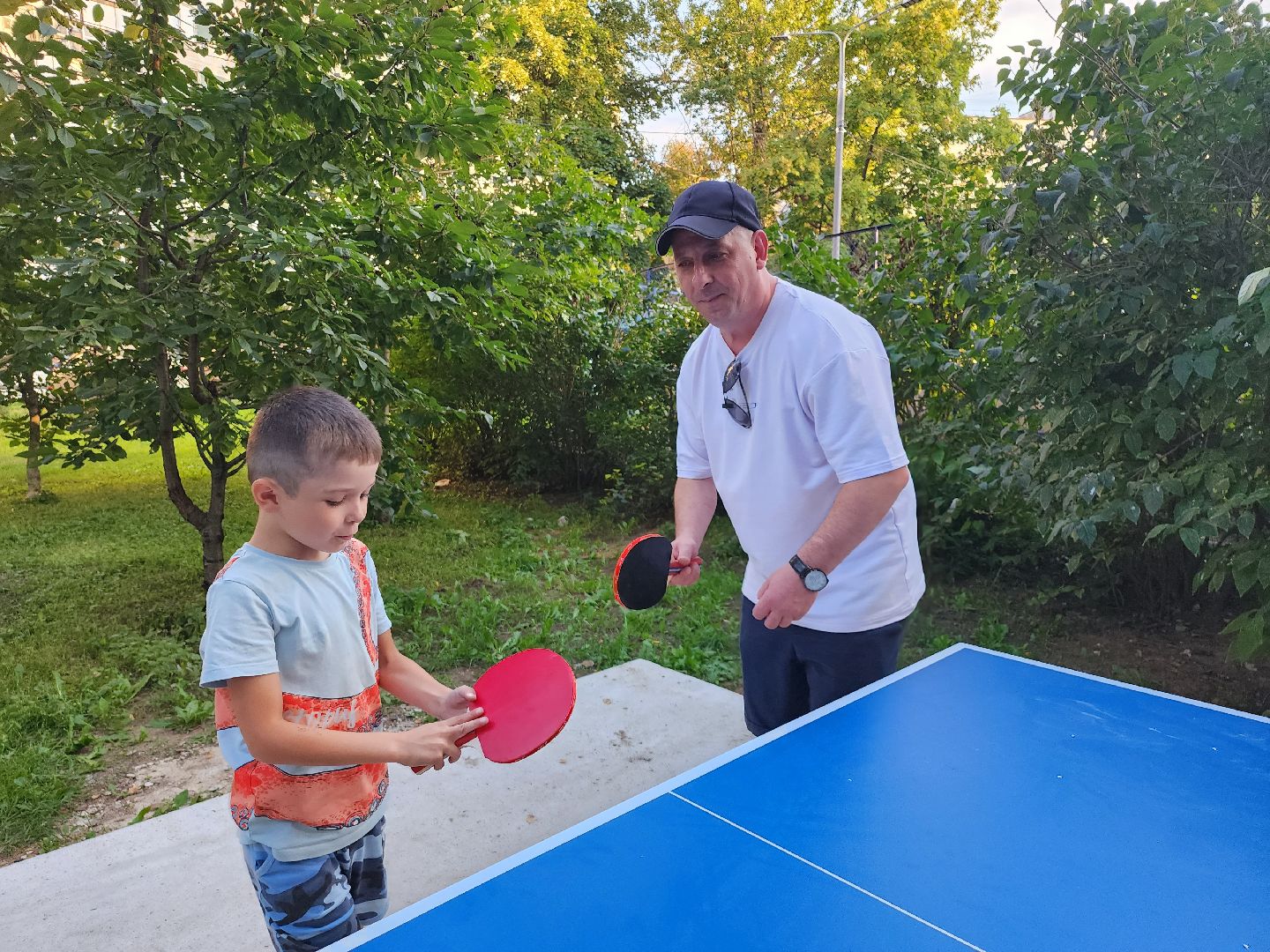 видное; теннис; депутаты; спорт; дворы