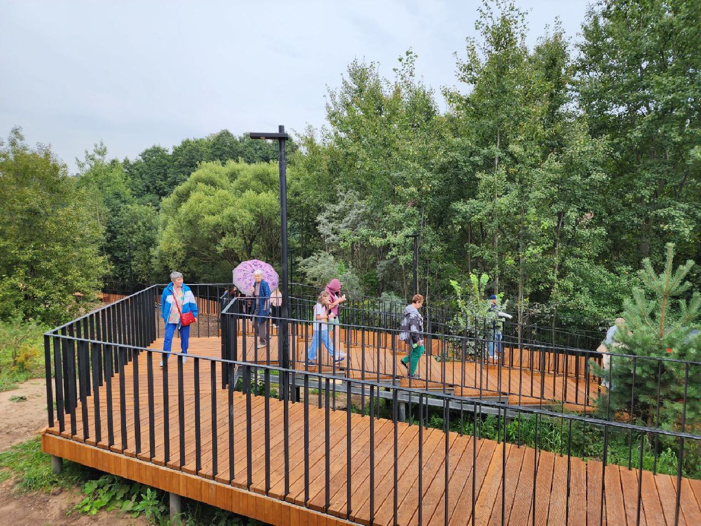 парк, благоустройство, благоустройство парков, Лосино-Петровский