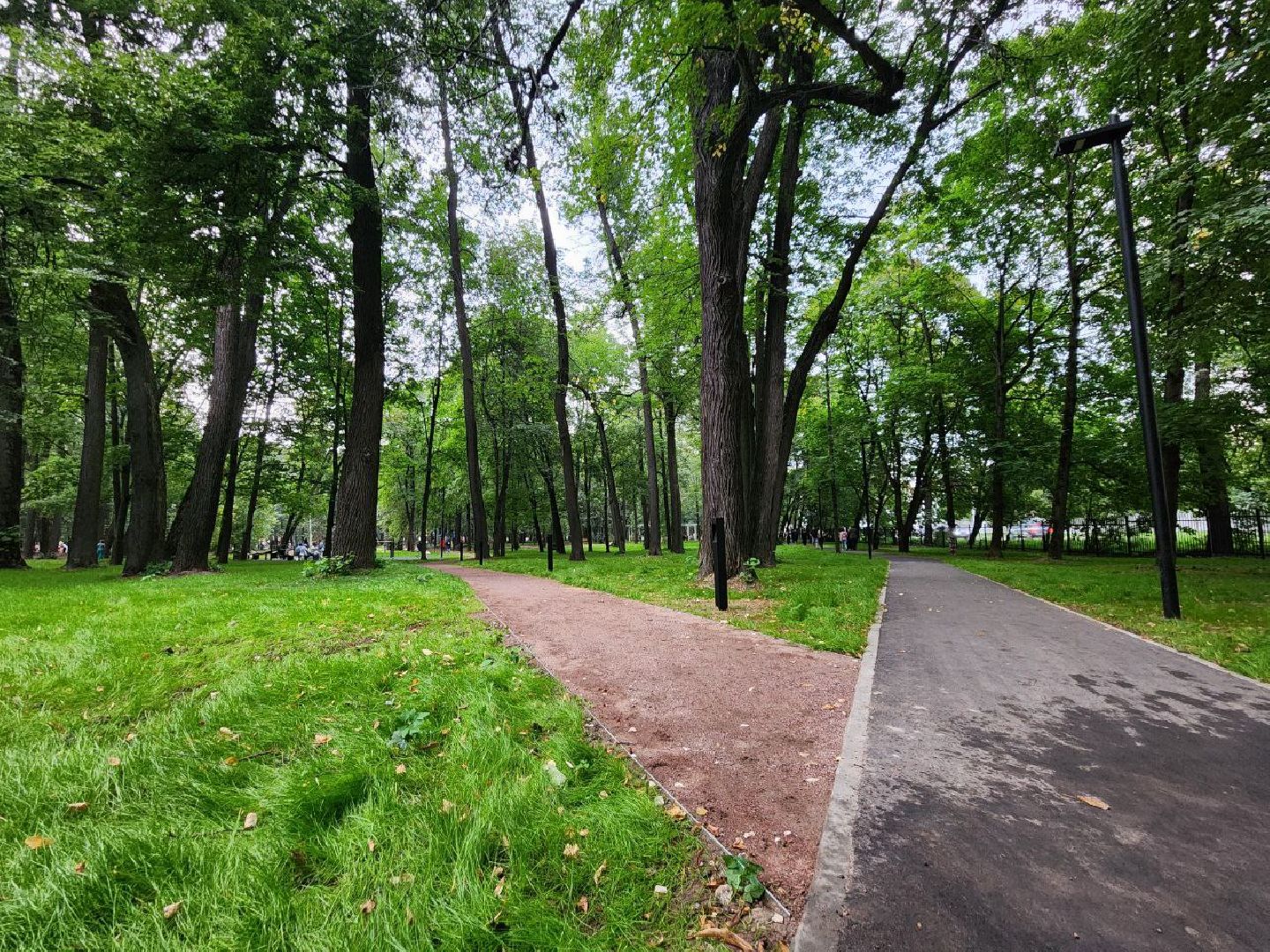 парк, благоустройство, благоустройство парков, Лосино-Петровский