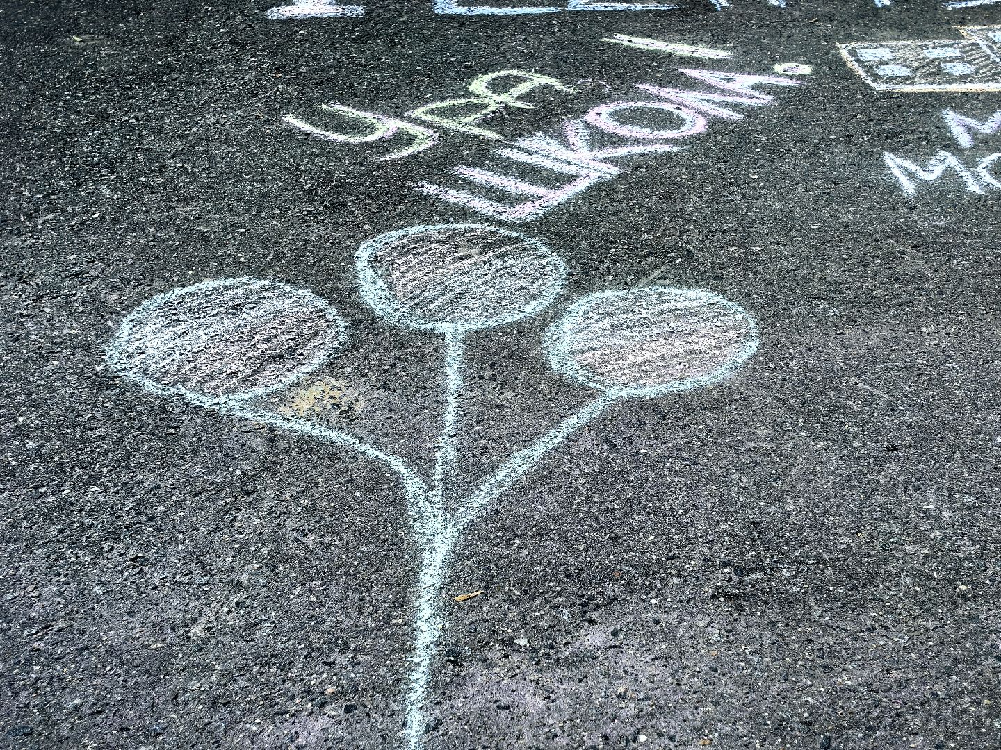 Парк, конкурс, рисунок, День Знаний