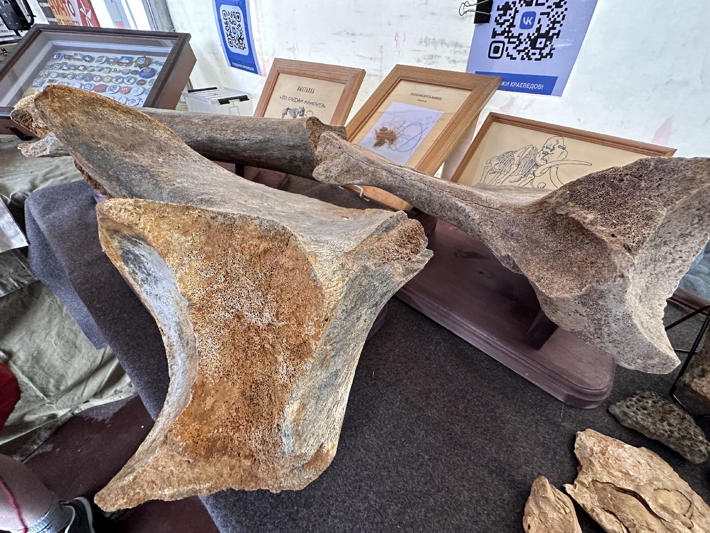 Одинцово, День города, Краеведы, Китежъ