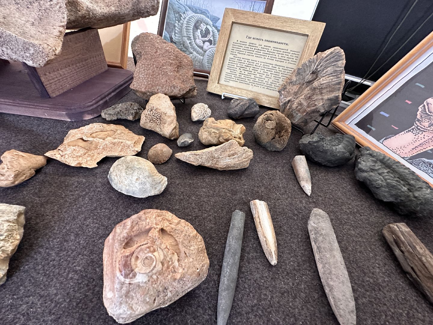 Одинцово, День города, Краеведы, Китежъ