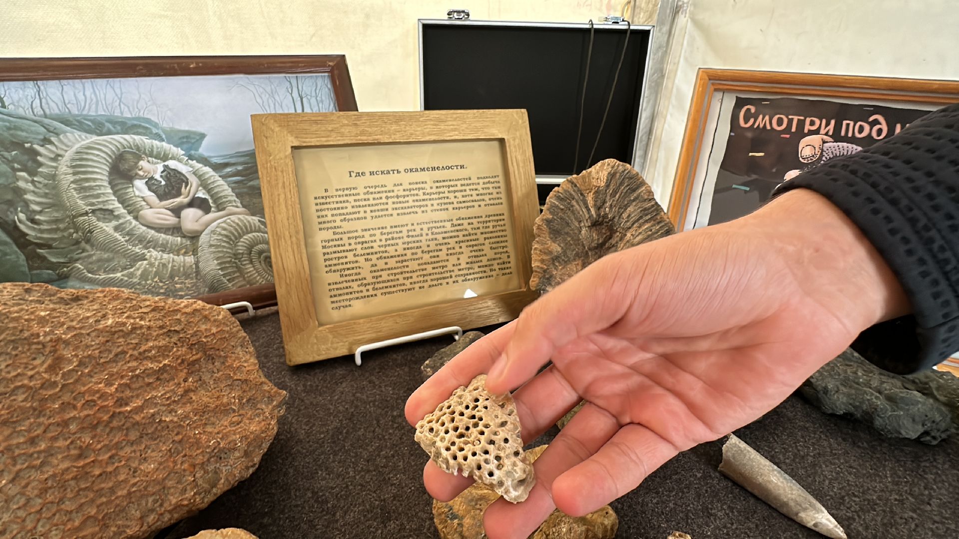 Одинцово, День города, Краеведы, Китежъ