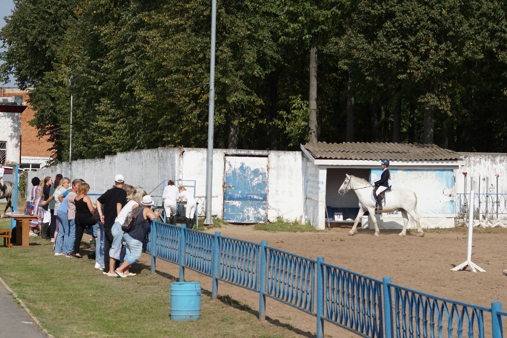 Егорьевск, спорт, Мещера, конкур,