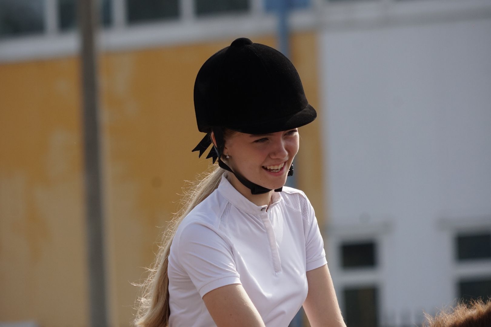 Егорьевск, спорт, Мещера, конкур,