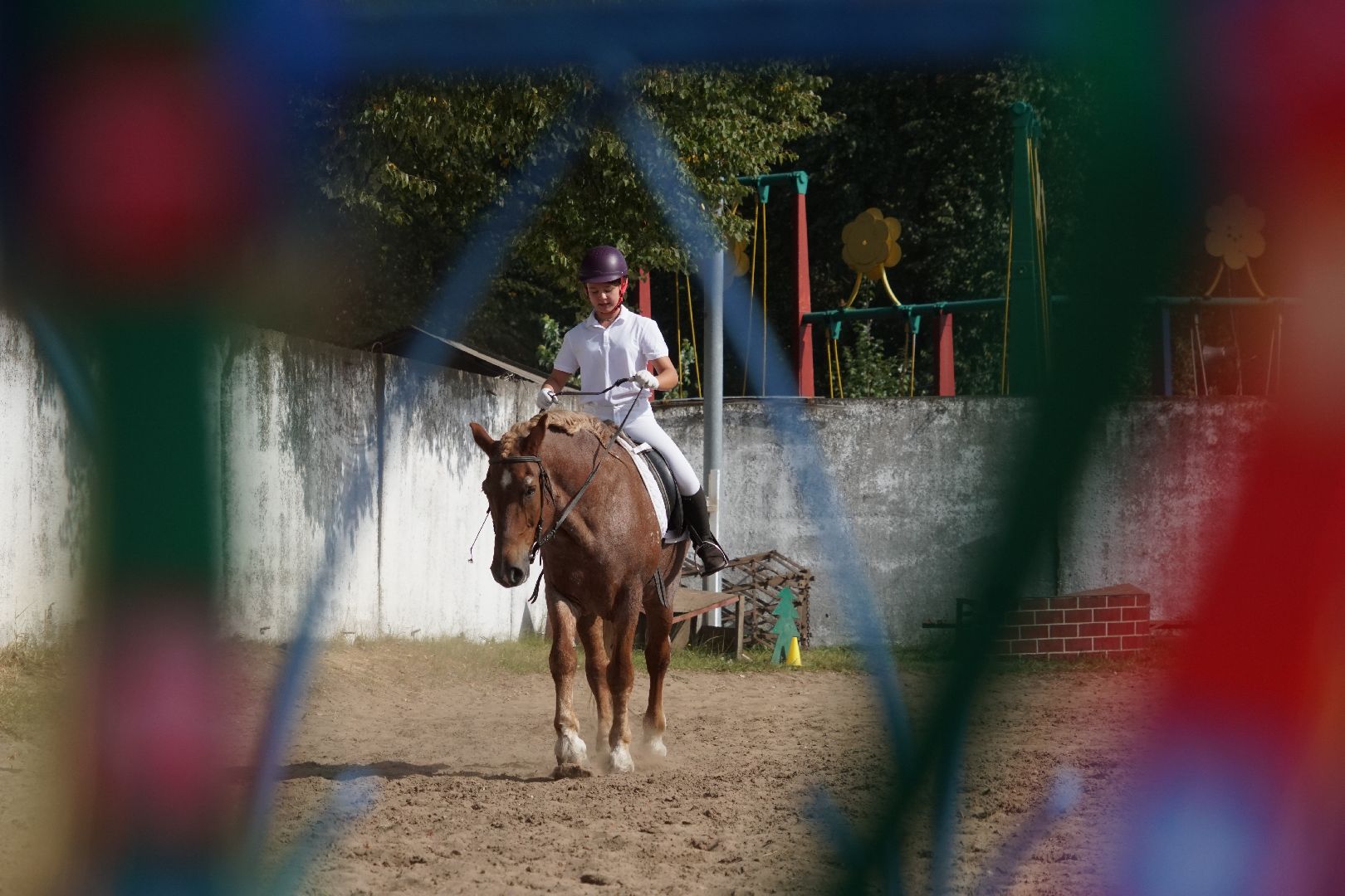 Егорьевск, спорт, Мещера, конкур,