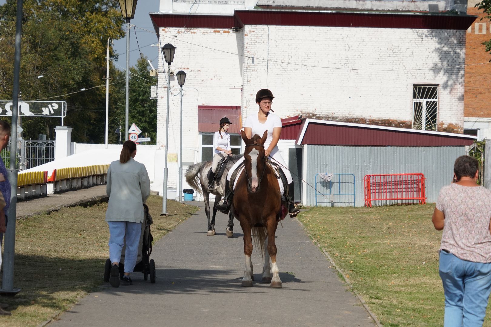 Егорьевск, спорт, Мещера, конкур,