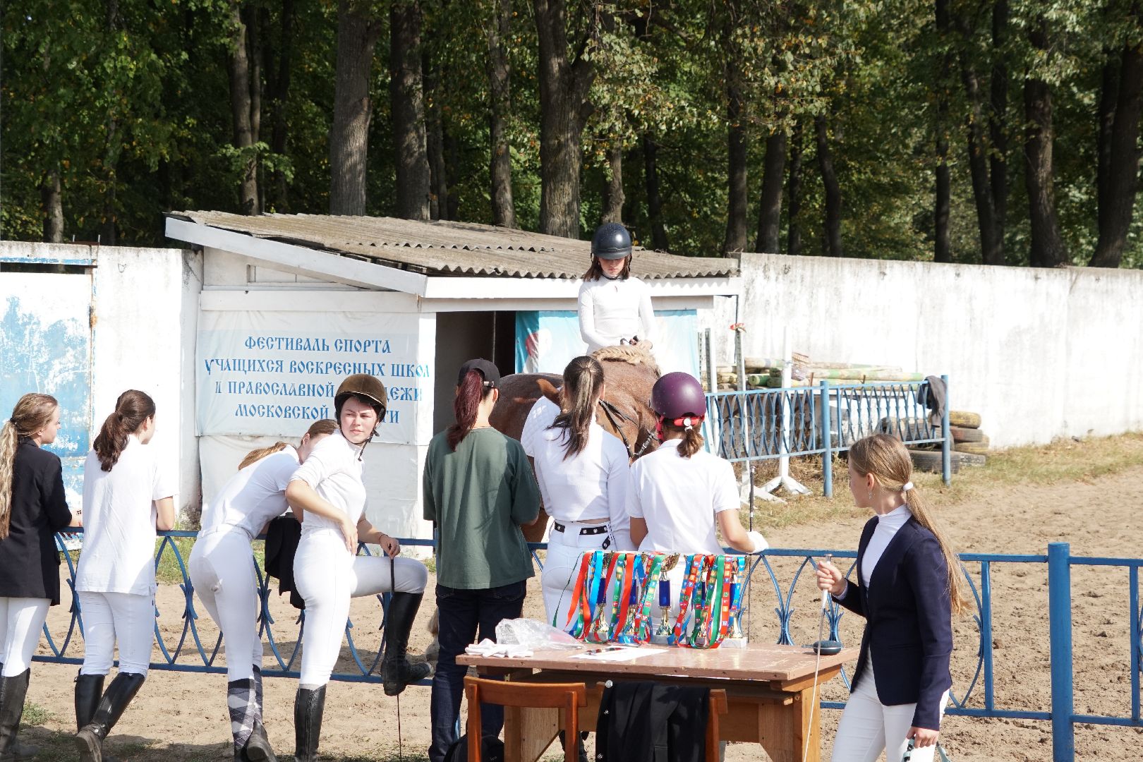 Егорьевск, спорт, Мещера, конкур,