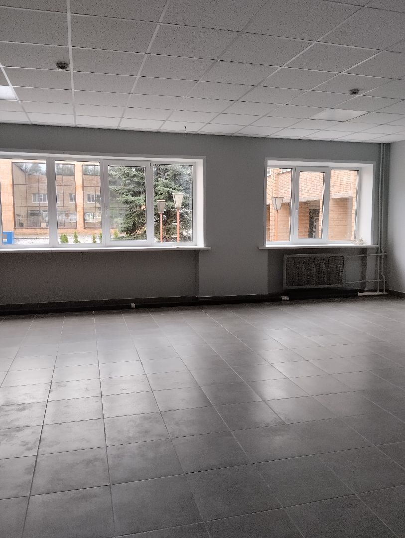 Центр культуры, культура, ремонт, Старая Купавна, Богородский городской округ