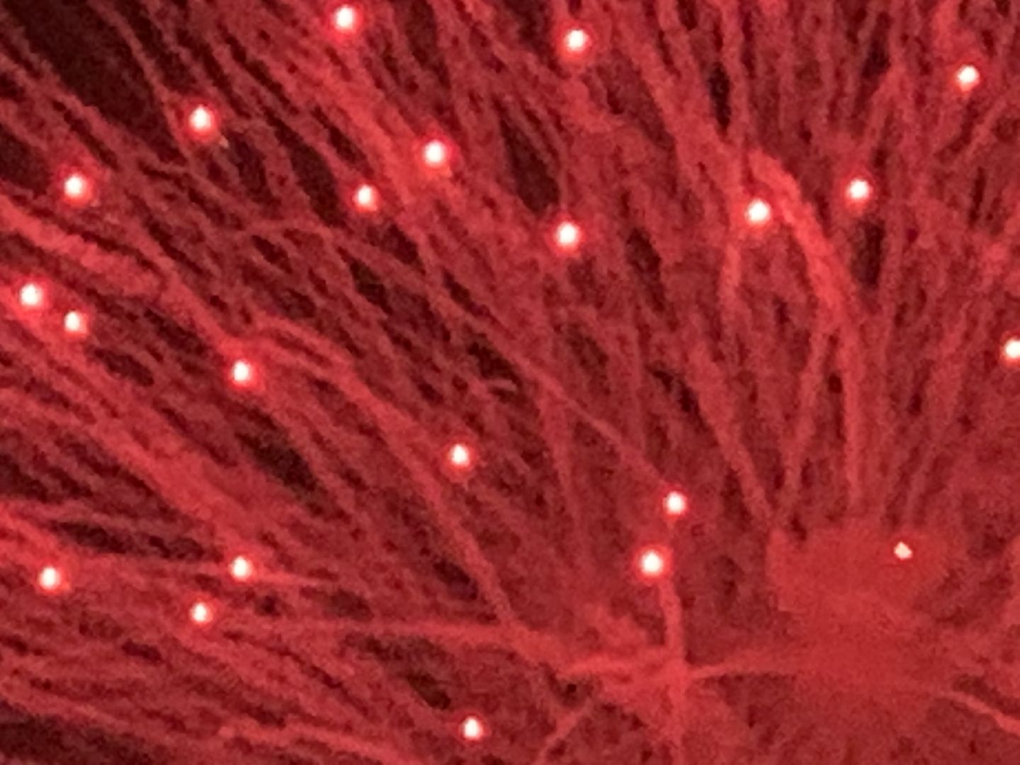 Балашиха, Подмосковье, День города, салют, концерт