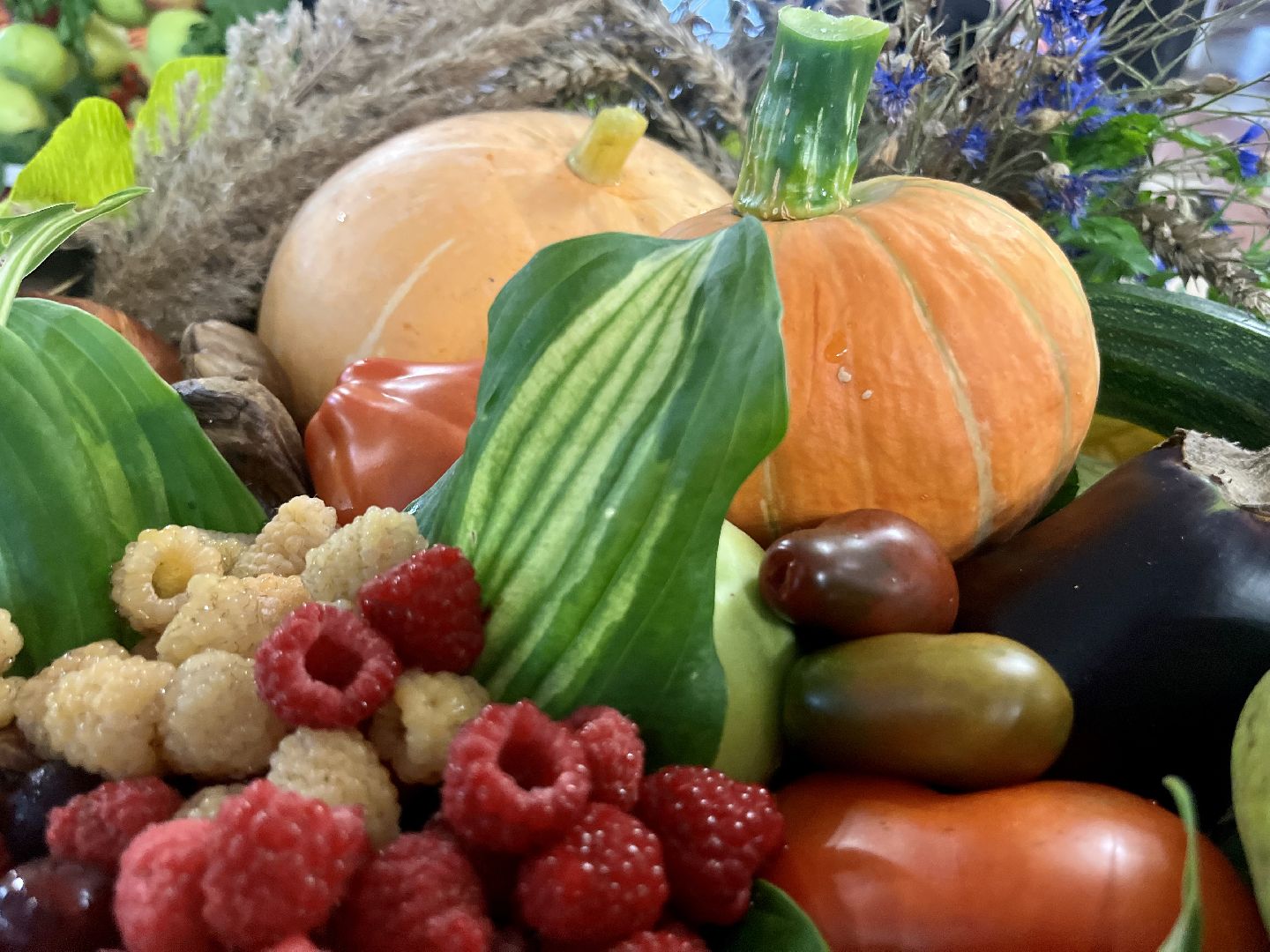 Наро-Фоминск, урожай, дары осени, ЦДК «Звезда», огород