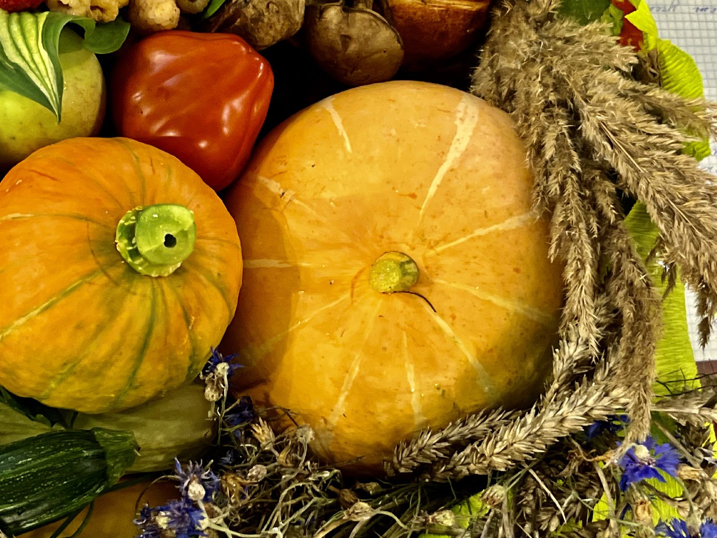 Наро-Фоминск, урожай, дары осени, ЦДК «Звезда», огород