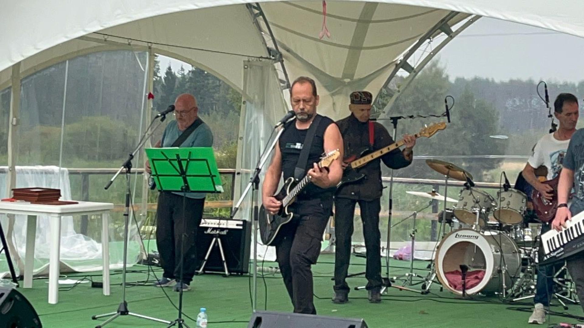 пушкинский округ, музыка, концерт, рок,