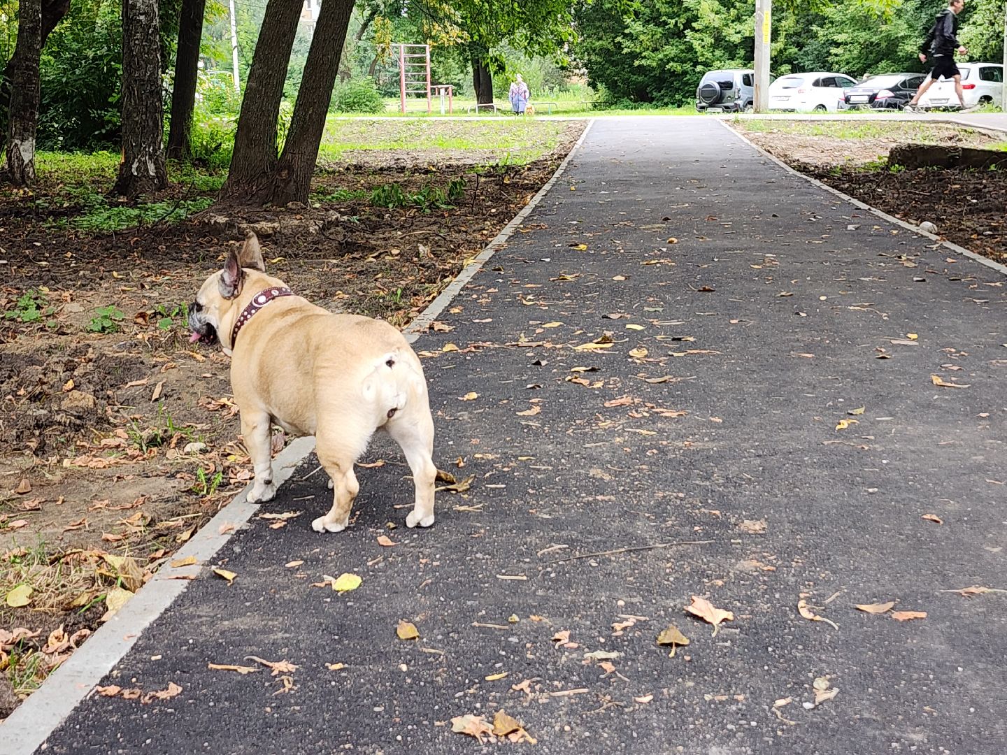 народная тропа, благоустройство, серпухов, улица осенняя, двор, жители,