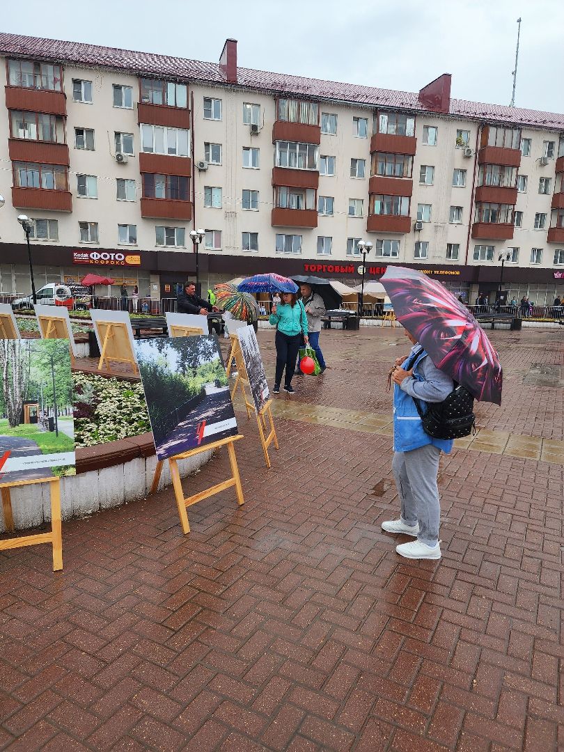 Солнечногорск, День города, культура, фотографии, выставка