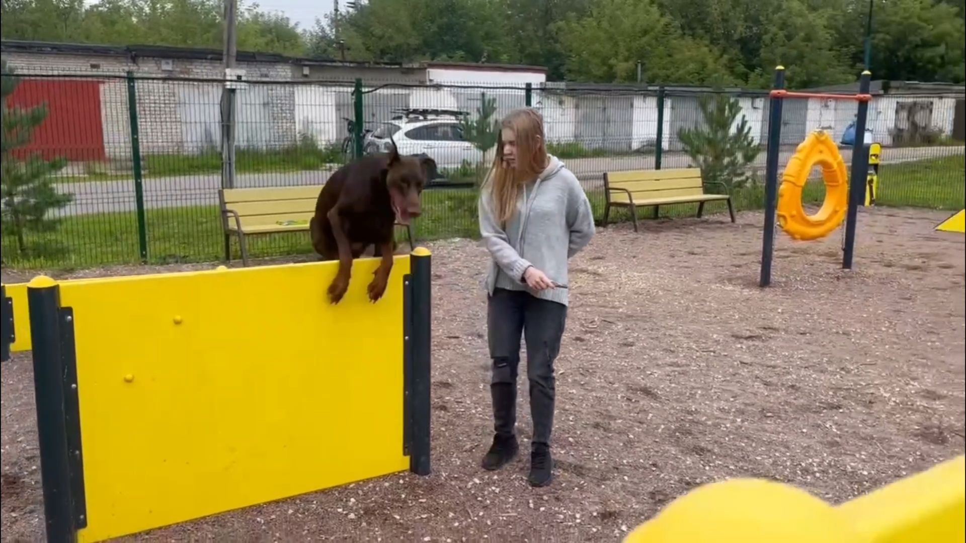Подольск, собаки, площадка