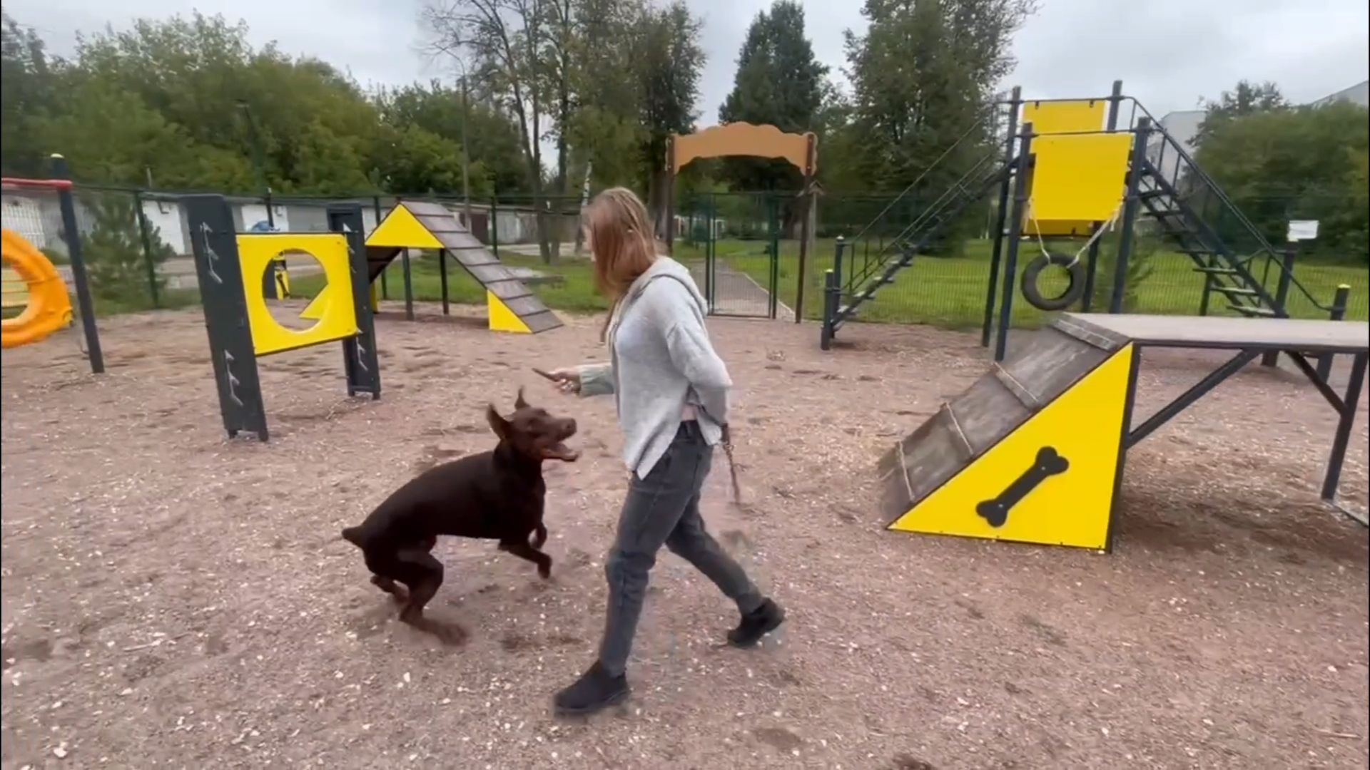 Подольск, собаки, площадка