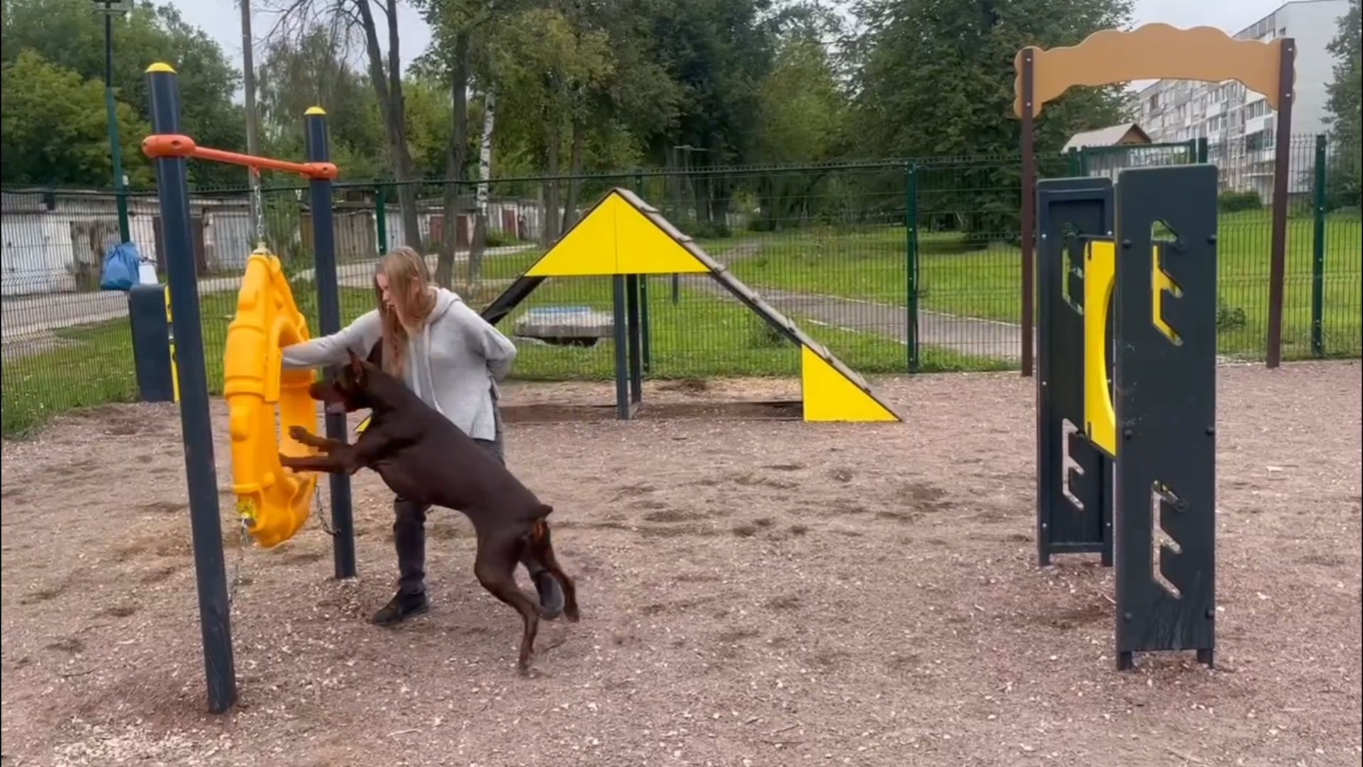 Подольск, собаки, площадка