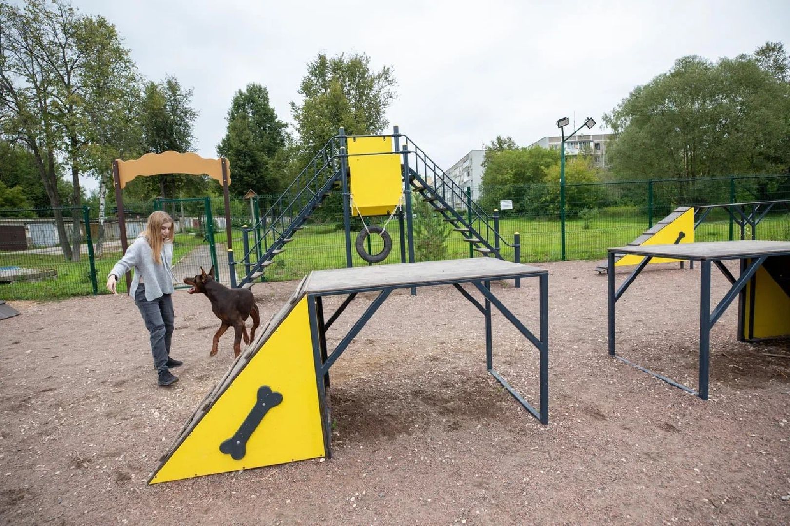 Подольск, собаки, площадка