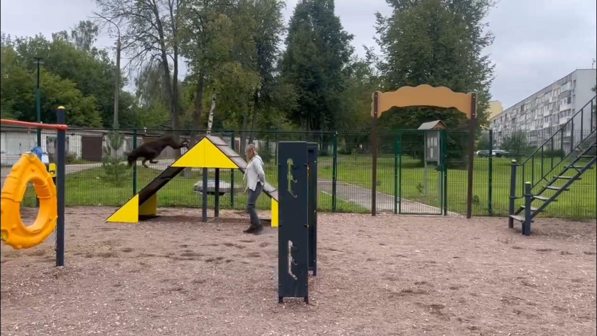 Подольск, собаки, площадка