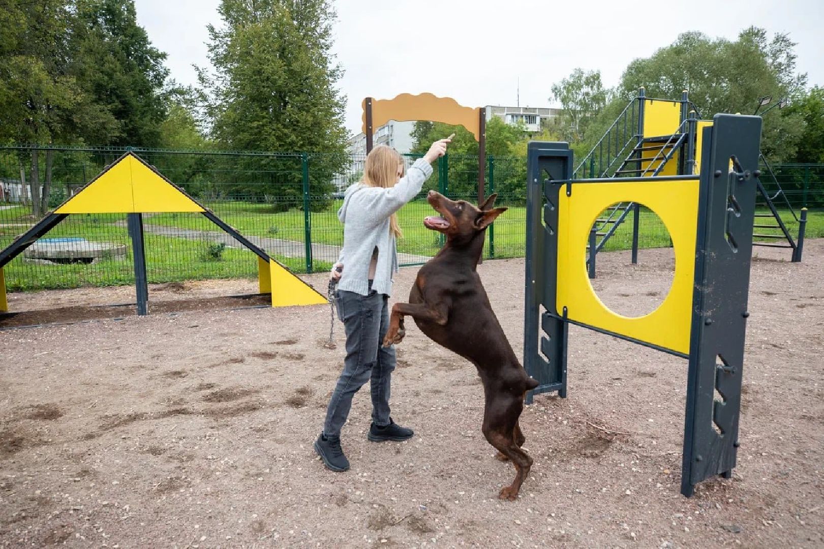 Подольск, собаки, площадка