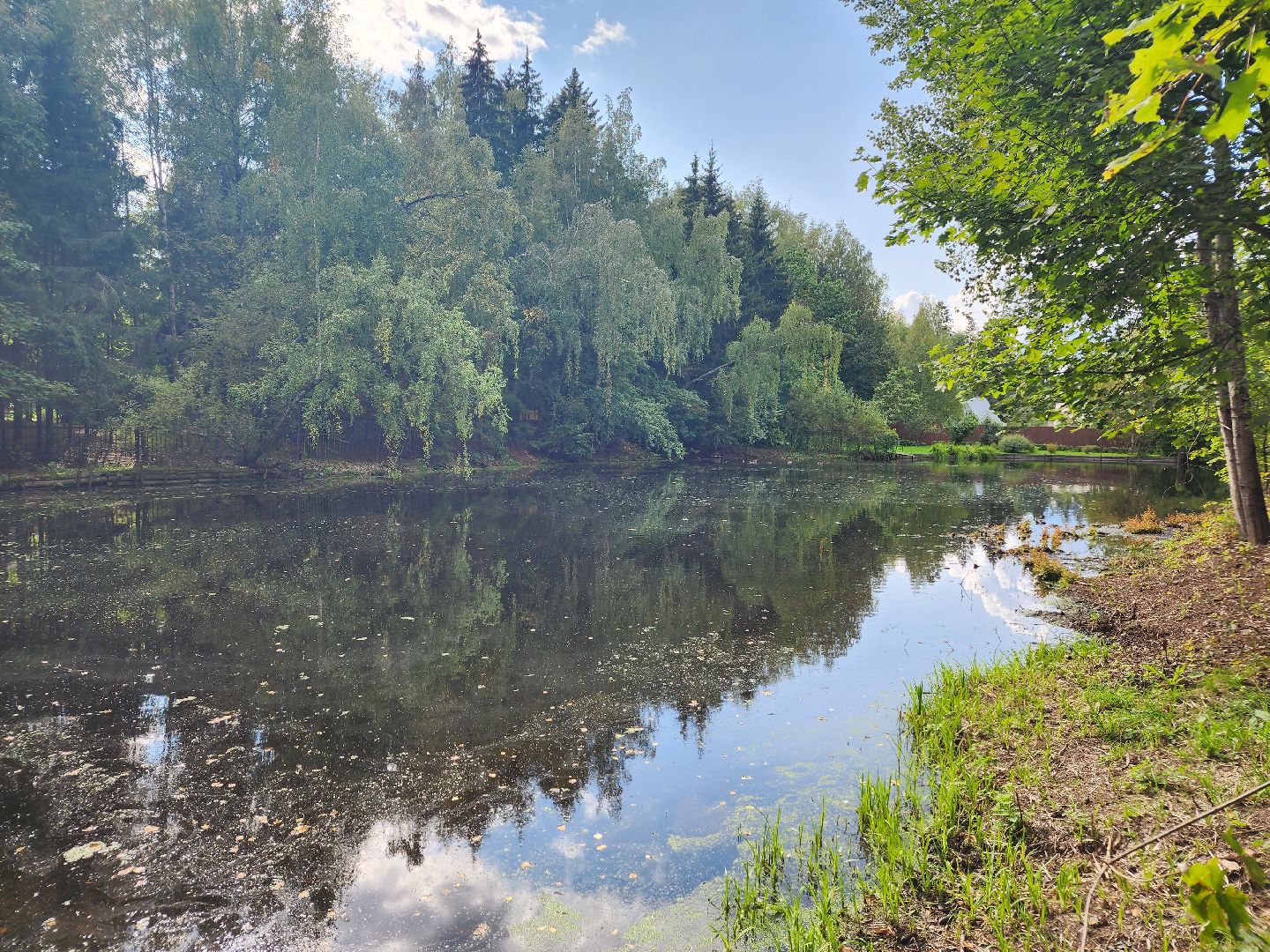 Истра, пруды, очистка