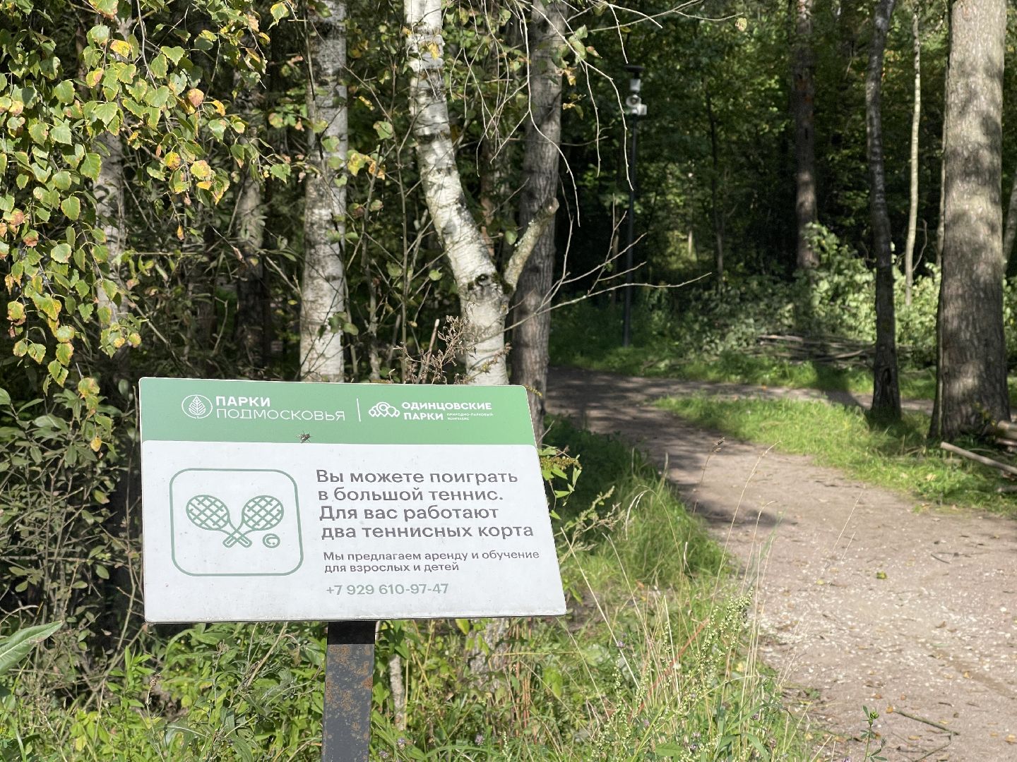 Одинцово, парк Малевича, спорт, строительство, благоустройство, формирование комфортной городской среды,