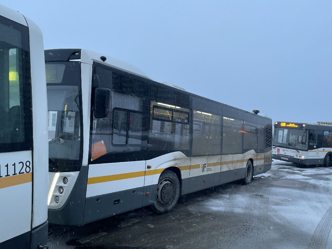 Автобусы, транспорт, пассажиры, маршрут, Люберцы