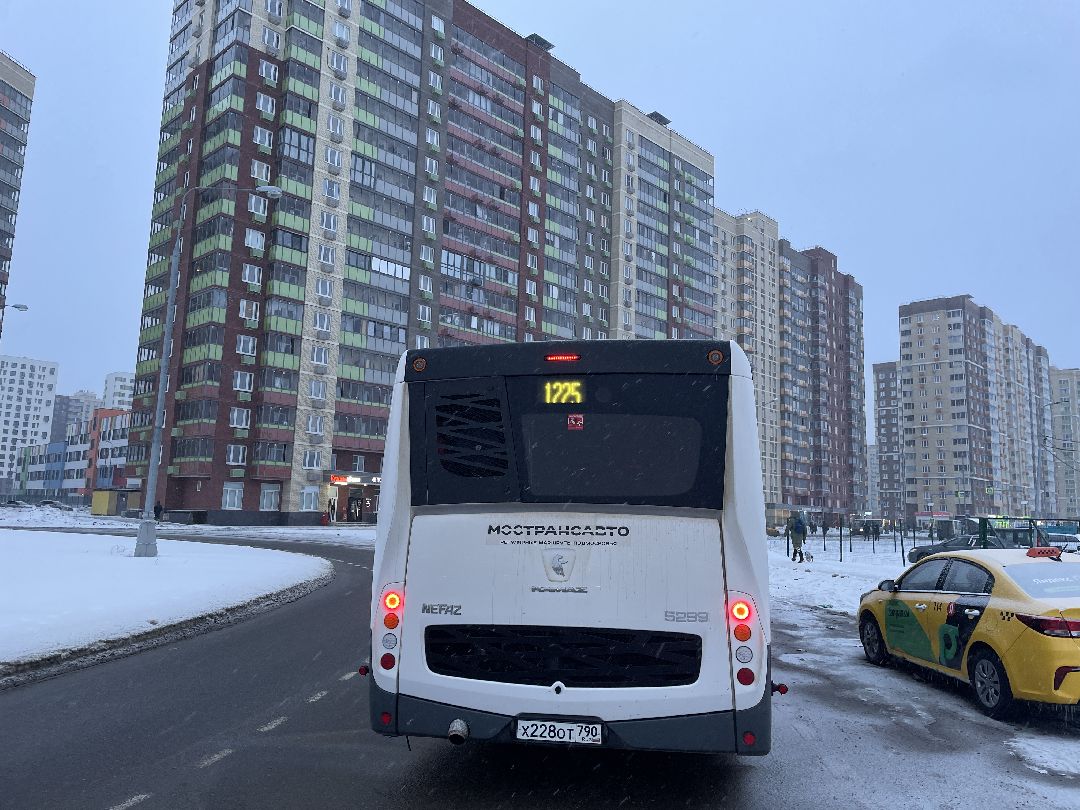 Автобусы, транспорт, пассажиры, маршрут, Люберцы