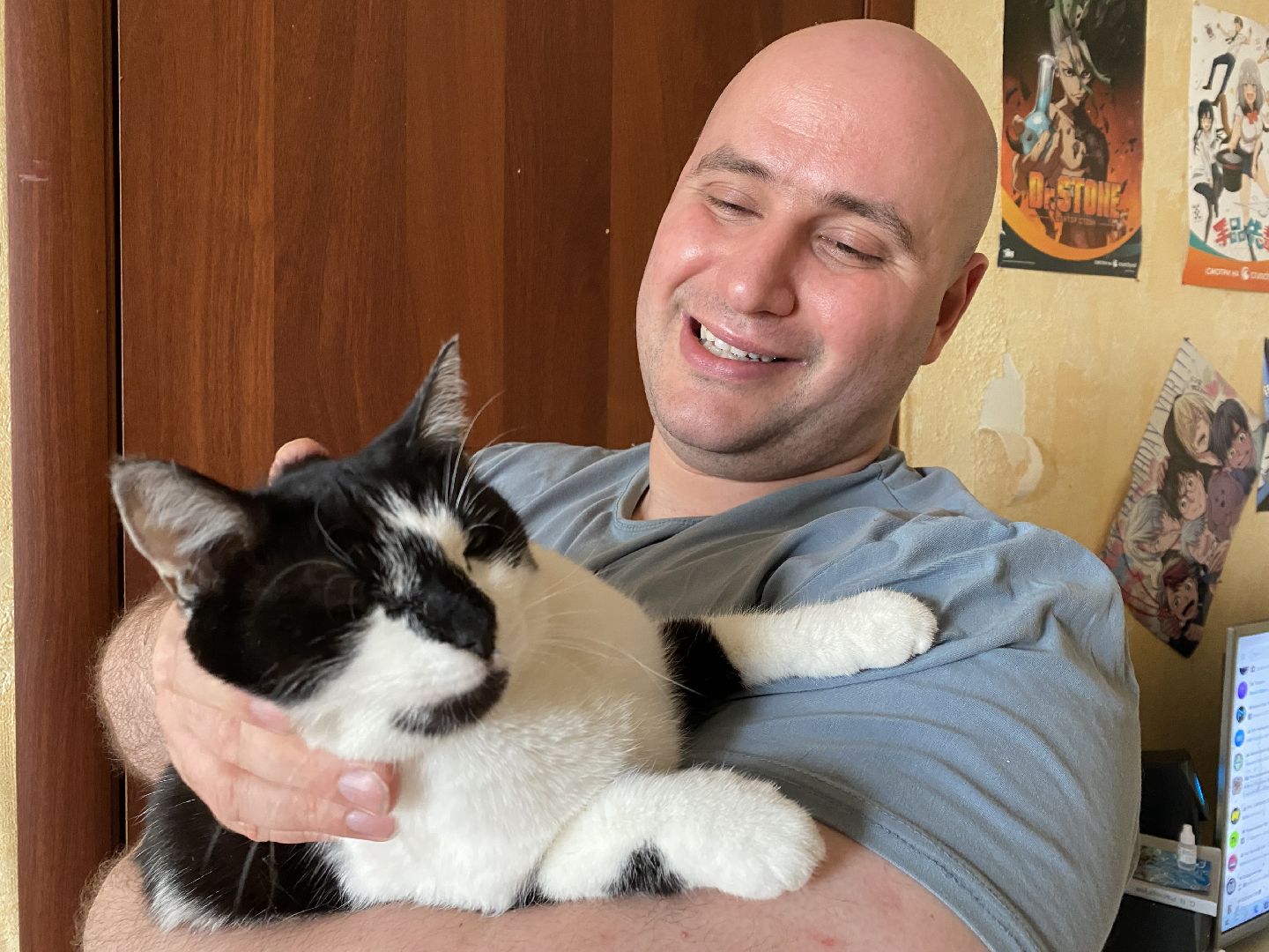 Балашиха, бездомные животные, помощь животным