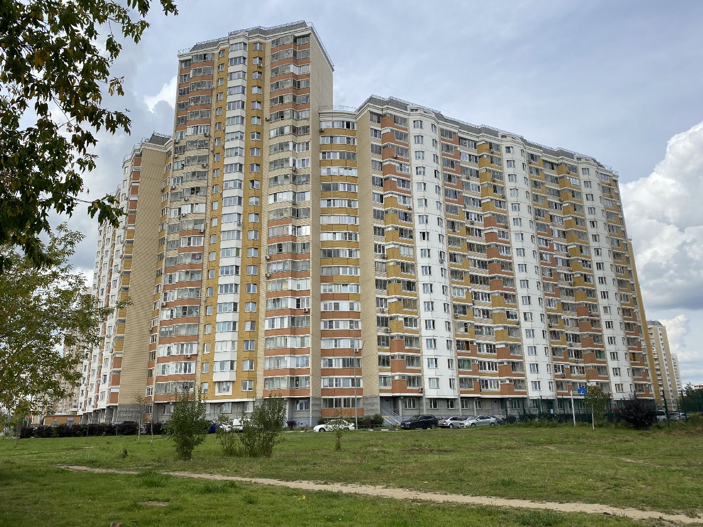 Балашиха, бездомные животные, помощь животным