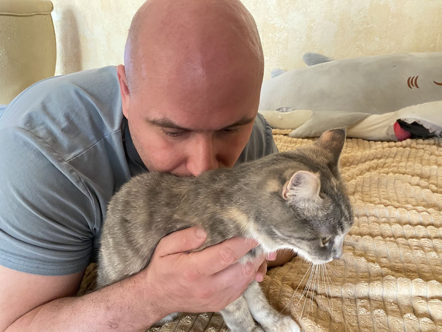 Балашиха, зооволонтёр, братья наши меньшие