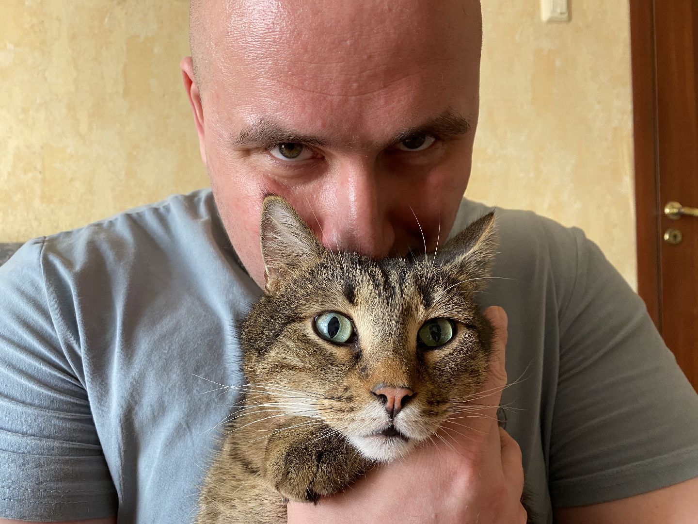 Балашиха, зооволонтёр, братья наши меньшие