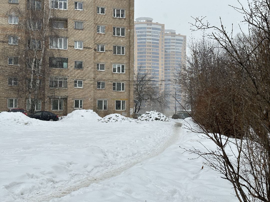 благоустройство, парк, сквер, клумбы, Реутов