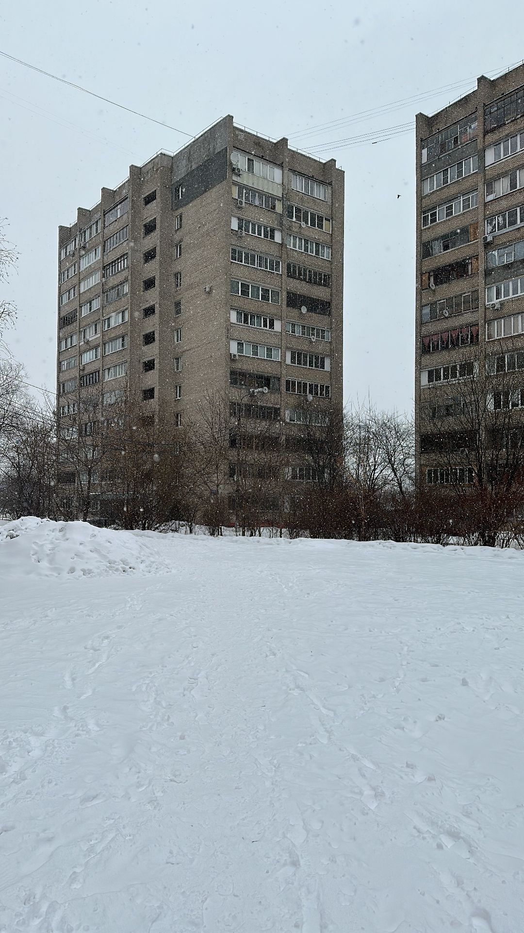 благоустройство, парк, сквер, клумбы, Реутов