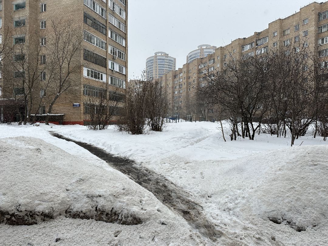 благоустройство, парк, сквер, клумбы, Реутов