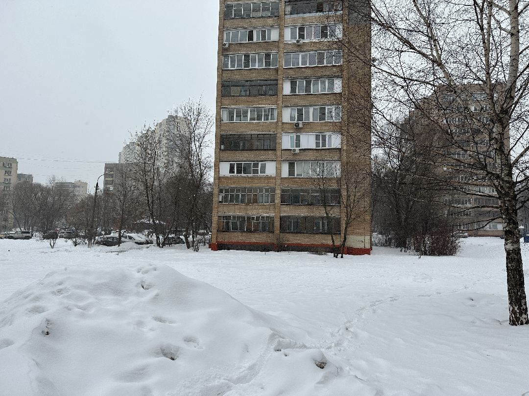 благоустройство, парк, сквер, клумбы, Реутов