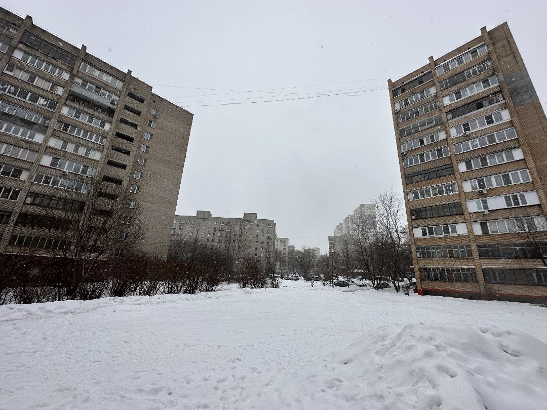 благоустройство, парк, сквер, клумбы, Реутов