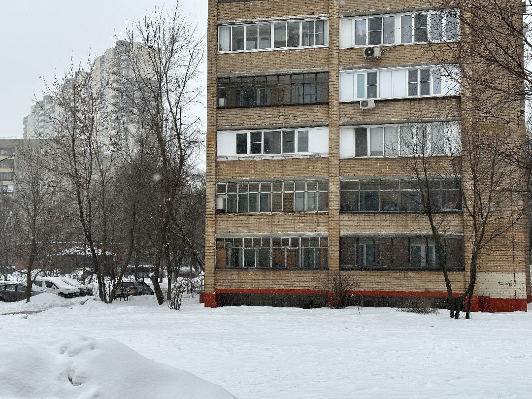 благоустройство, парк, сквер, клумбы, Реутов