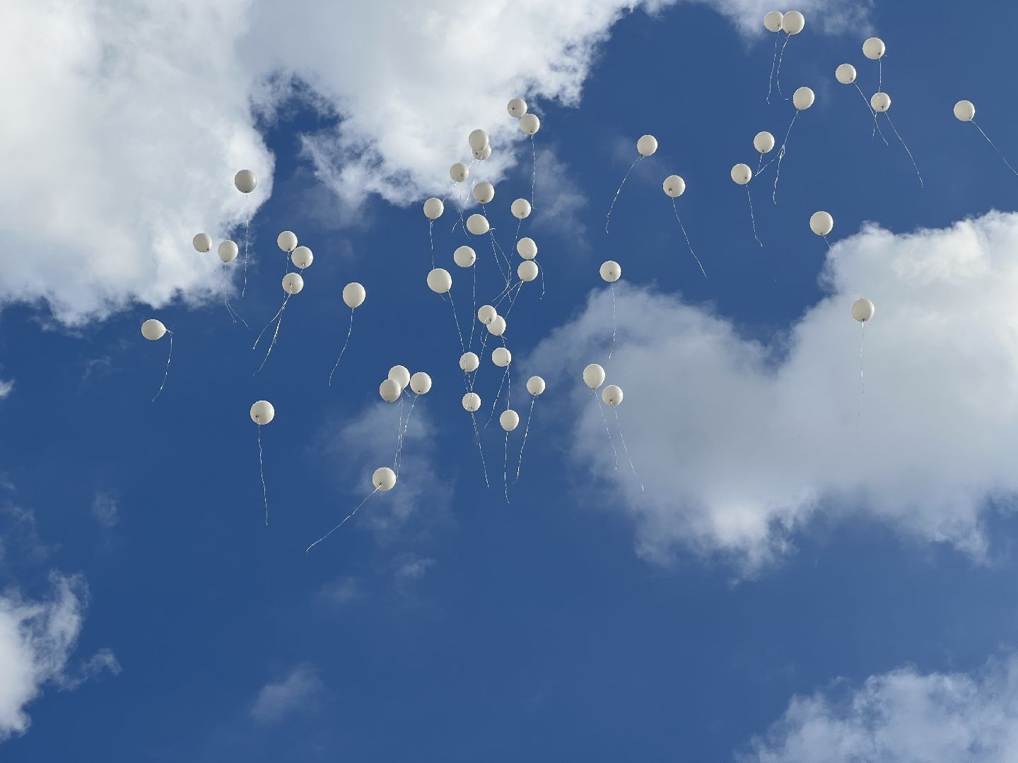 Химки, терроризм, дети, день солидарности в борьбе с терроризмом