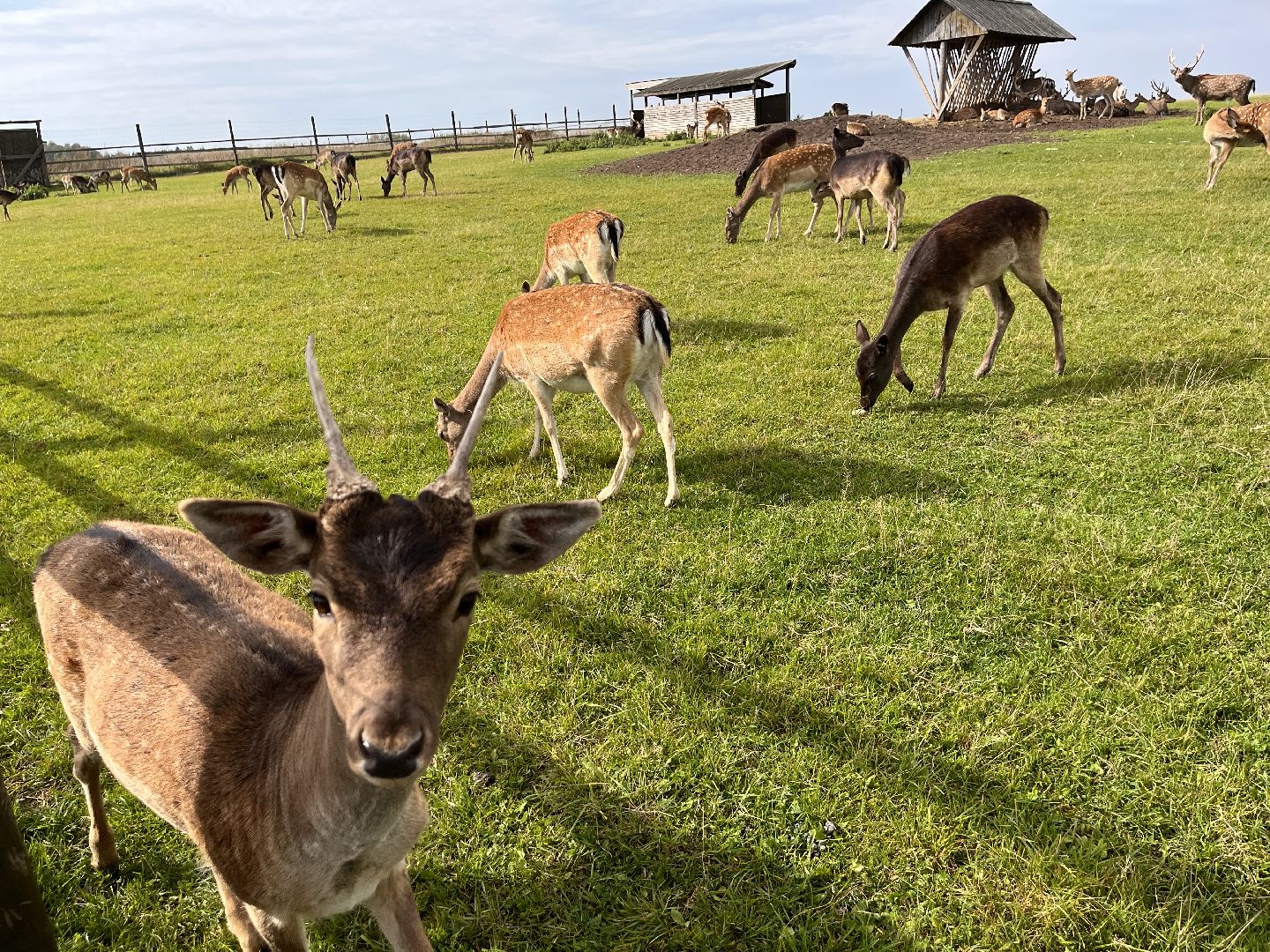 Шаховская, рыбалка, база отдыха
