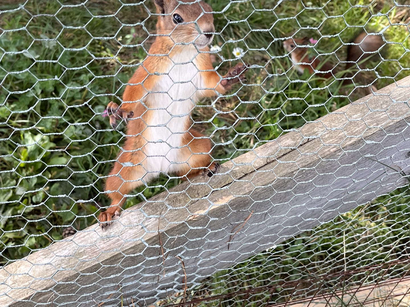 Шаховская, рыбалка, база отдыха