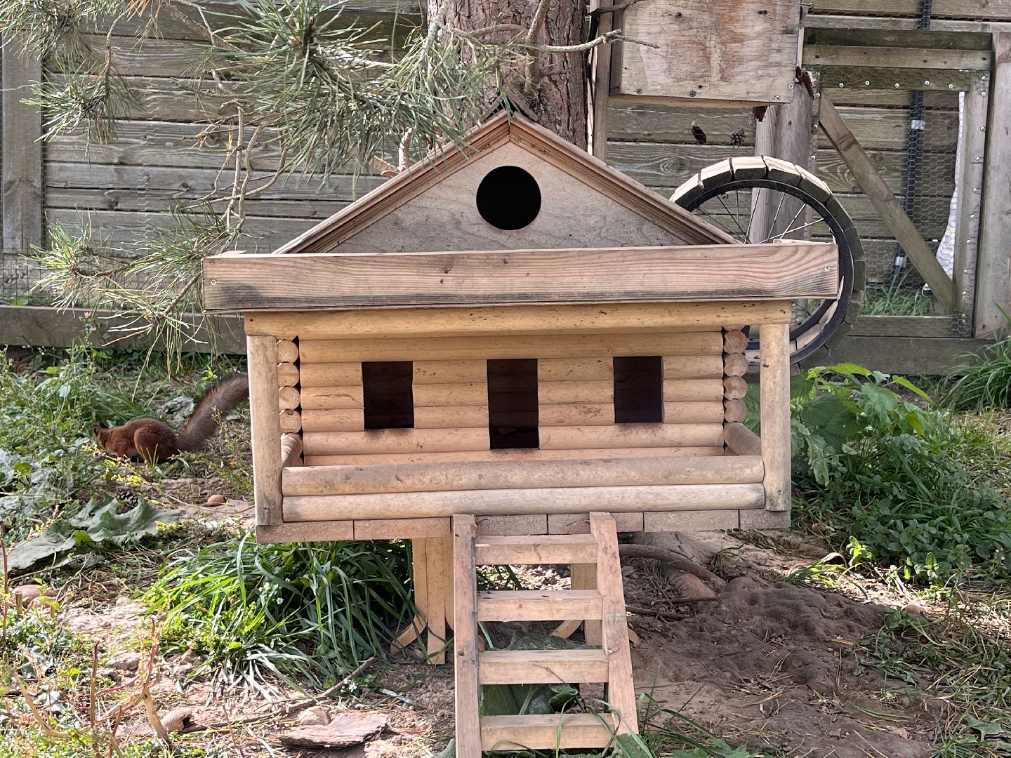 Шаховская, рыбалка, база отдыха