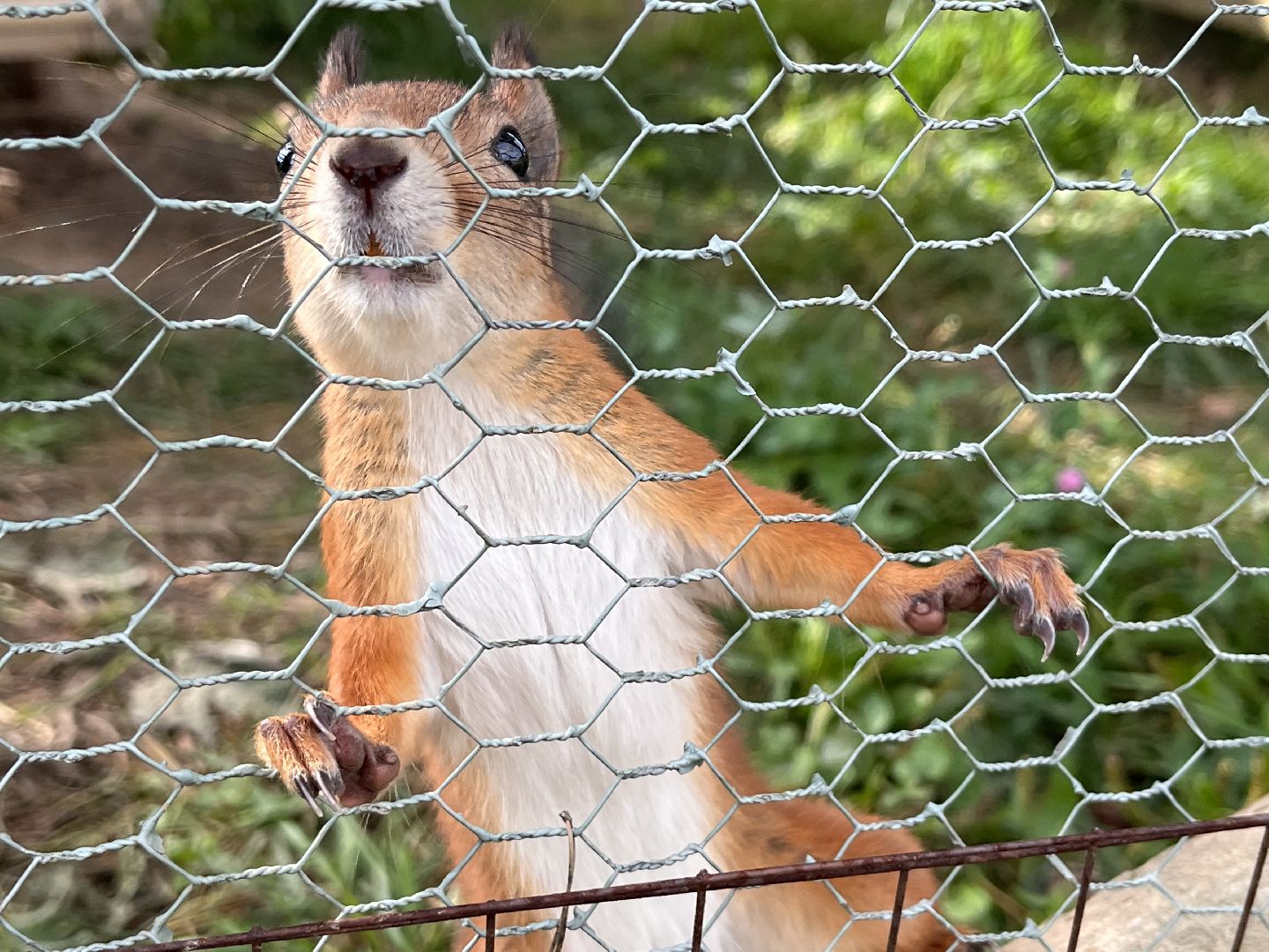 Шаховская, рыбалка, база отдыха