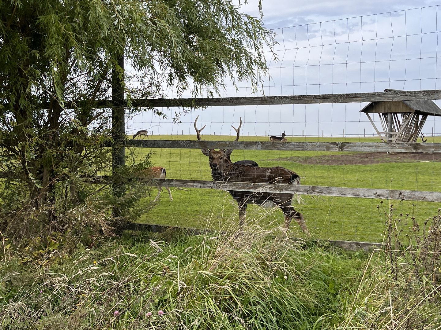 Шаховская, рыбалка, база отдыха
